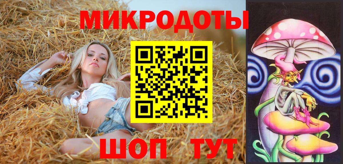 купить   Вход с VPN  Иваново  Псилоцибиновые грибы Psilocybe 