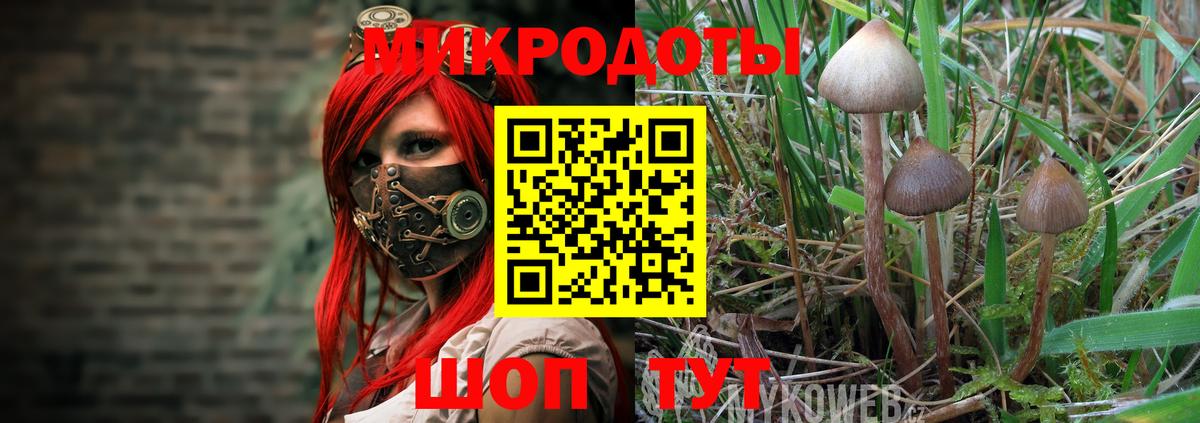 Псилоцибиновые грибы MAGIC MUSHROOMS Иваново